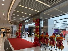 -Sony Store 索尼(来福士店)
