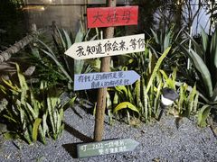 -大姑母农庄