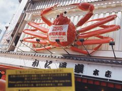 -蟹道乐(道顿堀本店)