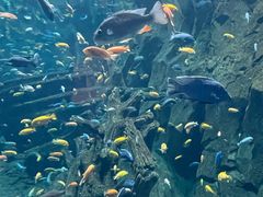 -幺妹川菜(民和路店)