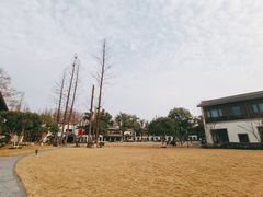 -杭州西湖柳莺里酒店·闻莺厅