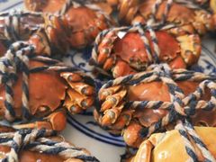 -呼吸森林·生态农庄农家乐私房菜