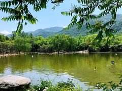 -西安秦岭野生动物园