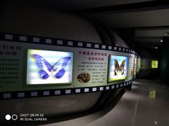 -上海昆虫博物馆