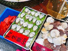 海鲜-湛江渔港·大排档(乐园路总店)