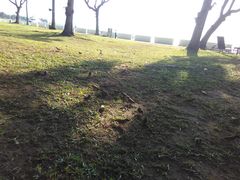 -麦哲伦丝绸度假村