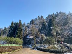 -龙苍沟森林公园