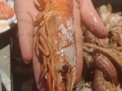 -乔哥铭洋海鲜自助(皇城恒隆广场店)