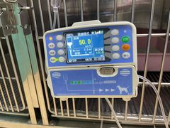 -瑞派·关忠动物医院(国瑞店)
