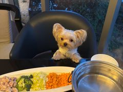 -西安浐灞艾美酒店·汉江餐厅·火锅