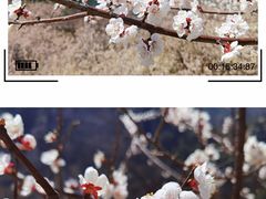 -崂山九水游览区