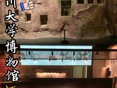 -四川大学博物馆