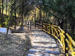 -阳台山自然风景区