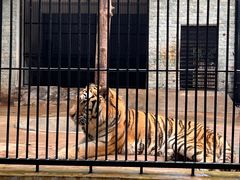 -广东茂名森林公园