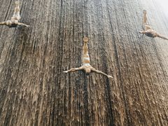 -迪拜水族馆及水下动物园