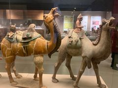 -西安大唐西市博物馆