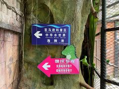 -北海海底世界
