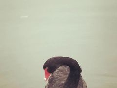 -温江公园