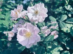 -白鹭湾湿地公园