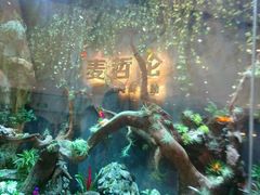 -甄品麦哲伦海鲜和牛自助(万达广场店)