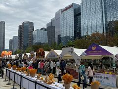 -合景·悠方(成都店)