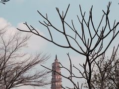 -顺峰山公园