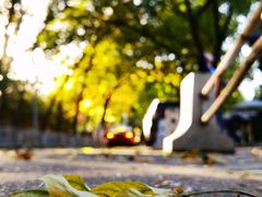 -三里屯东五街银杏大道