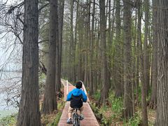-东湖落雁景区