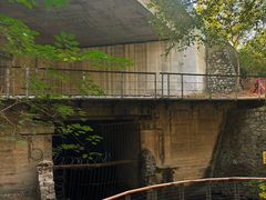 -白水寺森林公园