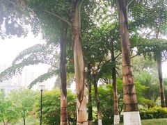 -龙头寺公园