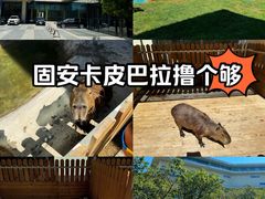 -廊坊固安福朋喜来登酒店