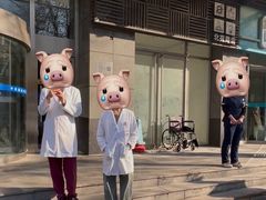 -美联众合动物医院·24h转诊中心
