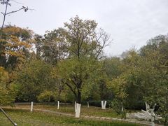 -雨花台烈士纪念馆