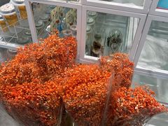 -苏梅花园(群星城店)