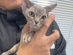 -心仪动物医院·牙专科·肿瘤·心脏科(西客站院)