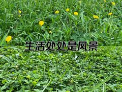 -荔香公园