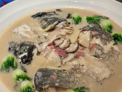 -聚丰园熊猫餐厅(紫金1912·玖爱谷店)