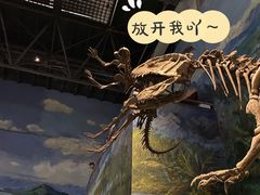 -自贡恐龙博物馆