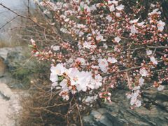 -香山公园-东宫门售票处