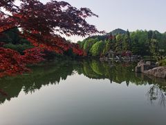 -四明山国家森林公园