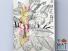 -学知乐教育·幼小衔接·小学科辅导(浦东外高桥森兰中心)