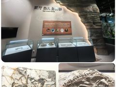 -辽宁古生物博物馆