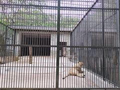 -广东茂名森林公园