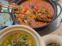 -洞庭家宴·头牌甲鱼(广渠门店)
