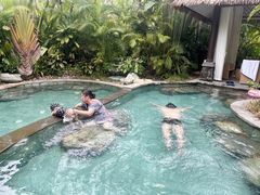 -碧桂园润杨溪谷温泉酒店