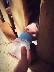 -萌宠亲子动物乐园(槐房万达店)