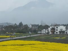 -黄牛肉馆·皖南土菜