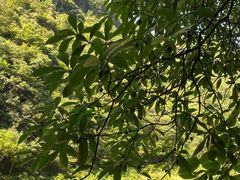-尧治河旅游度假区