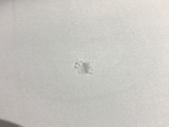 -新加坡瑞士史丹福酒店