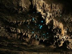 -怀托摩萤火虫洞